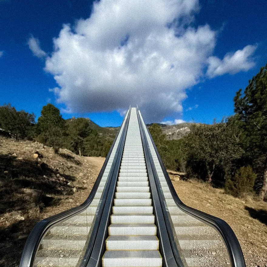 Long outdoor stairs surrounded by nature under a blue sky