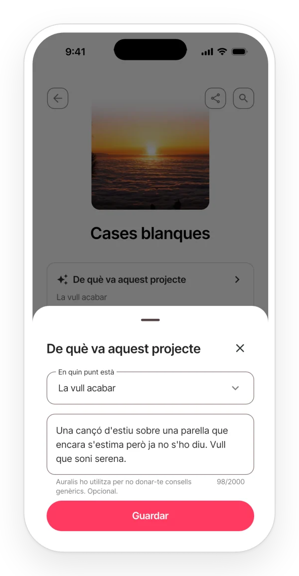 La fitxa sobre de què va el projecte: en quin punt és la cançó i què vols que transmeti, perquè Auralis no doni consells genèrics.