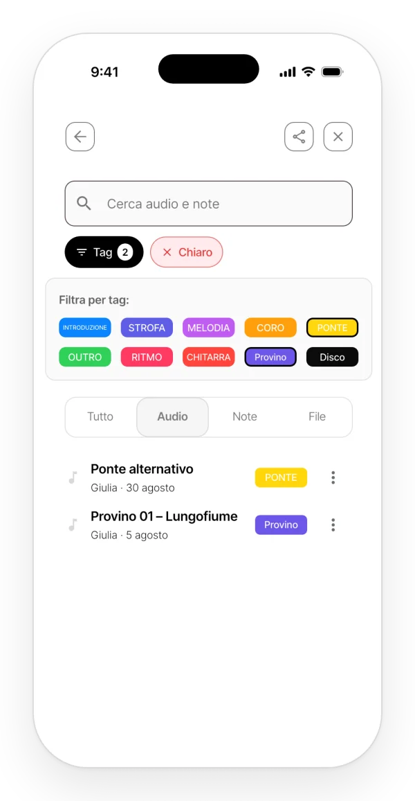 Ricerca all'interno di un progetto, filtrando gli audio per due tag.